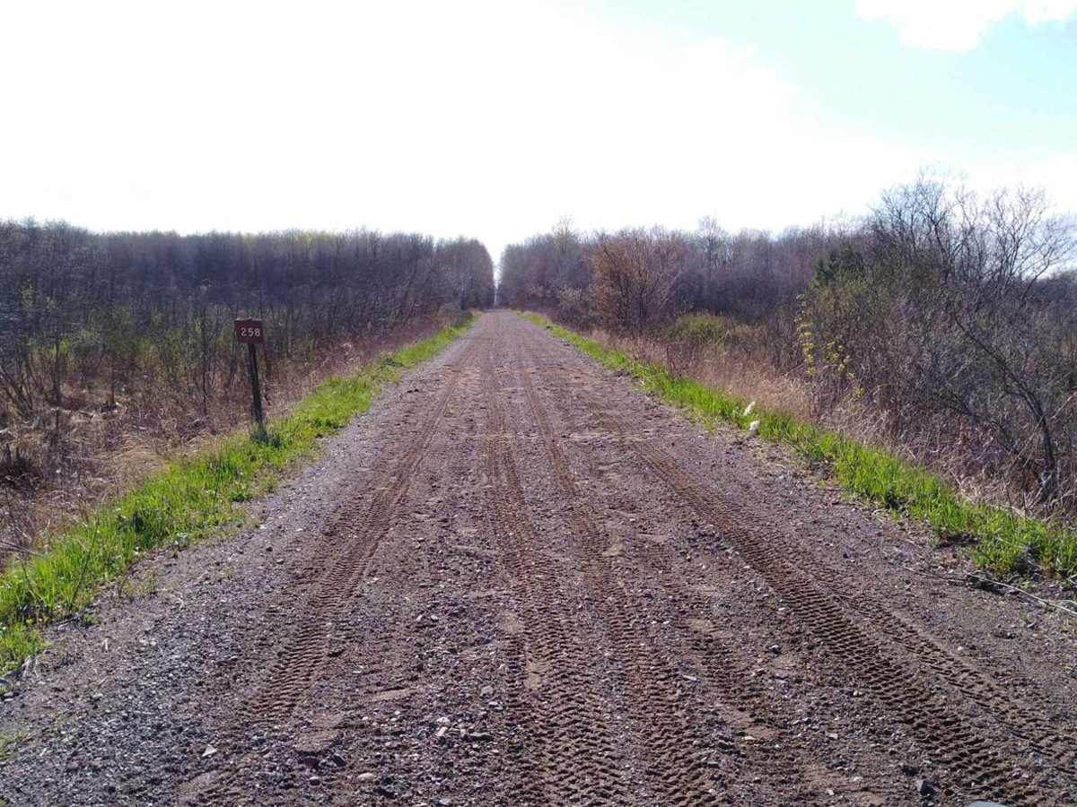 Lawler Loop Trails to Lawler photo 2