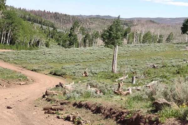 Dry Creek Road - FS 40183)