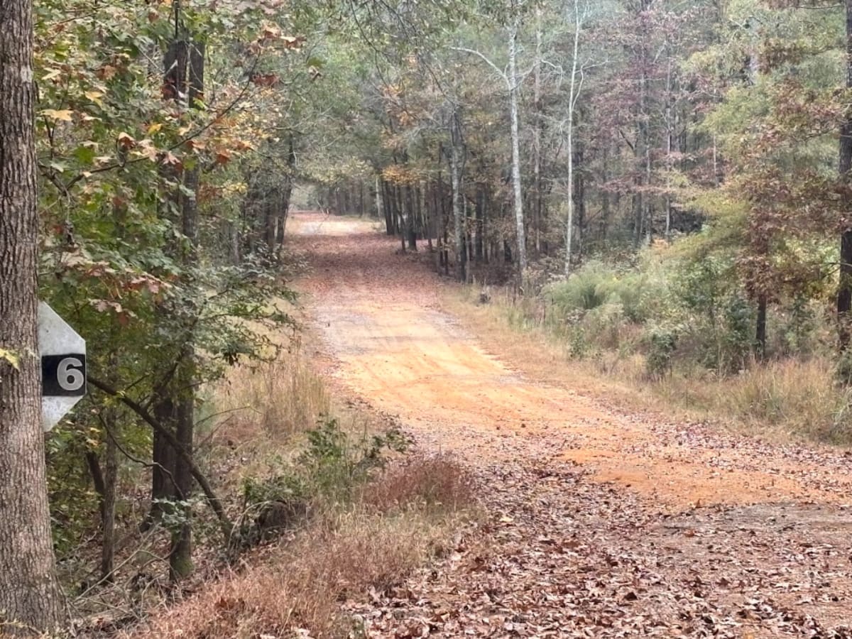 6 trail photo