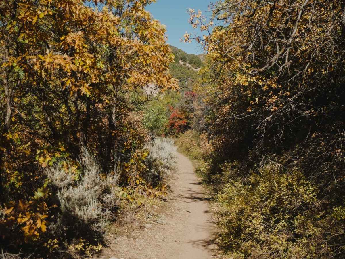 South Porcupine Trail photo 5