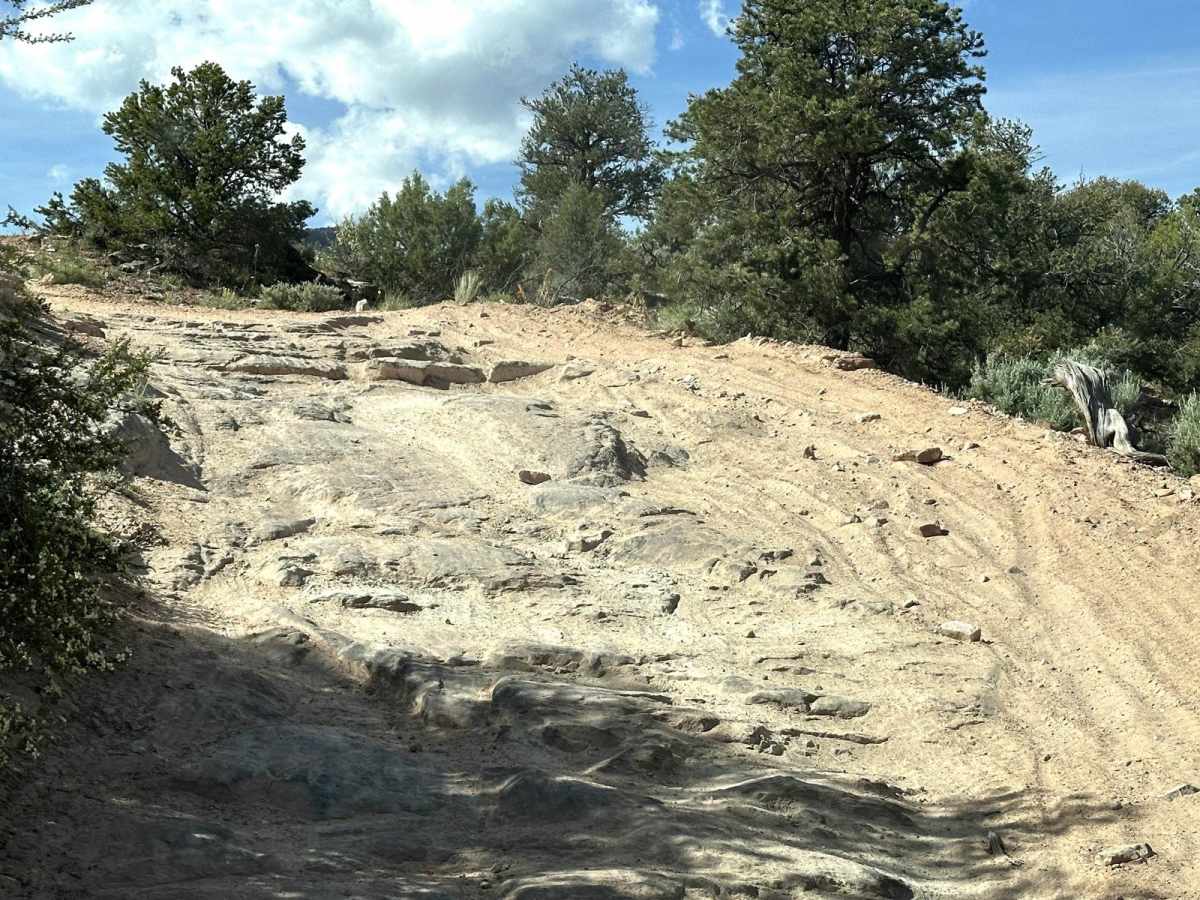 Kokopelli Trail (Onion Creek to Andy Mesa) photo 4