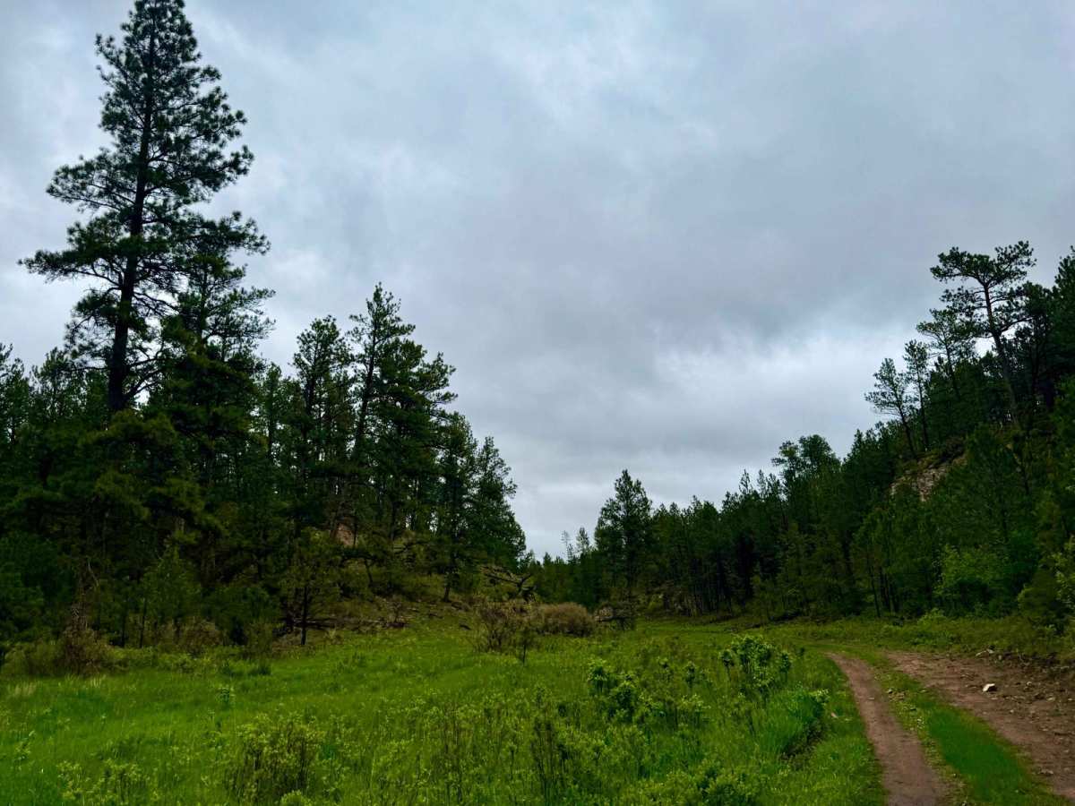 Tepee Branch Road - FS 271.1A photo 3