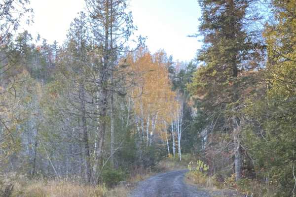 Cliff Mine Drive