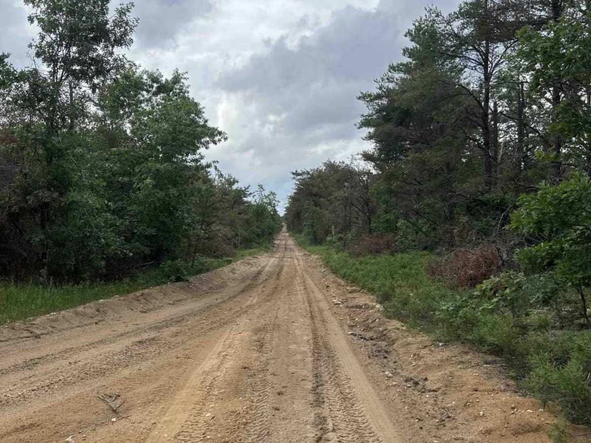 LP 9 to Elk Road trail photo