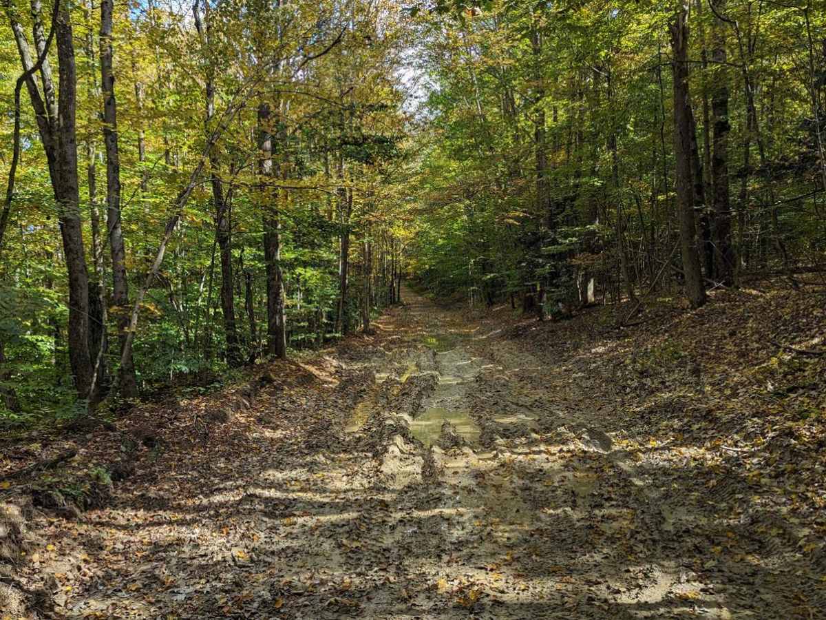 Chambers Road trail photo
