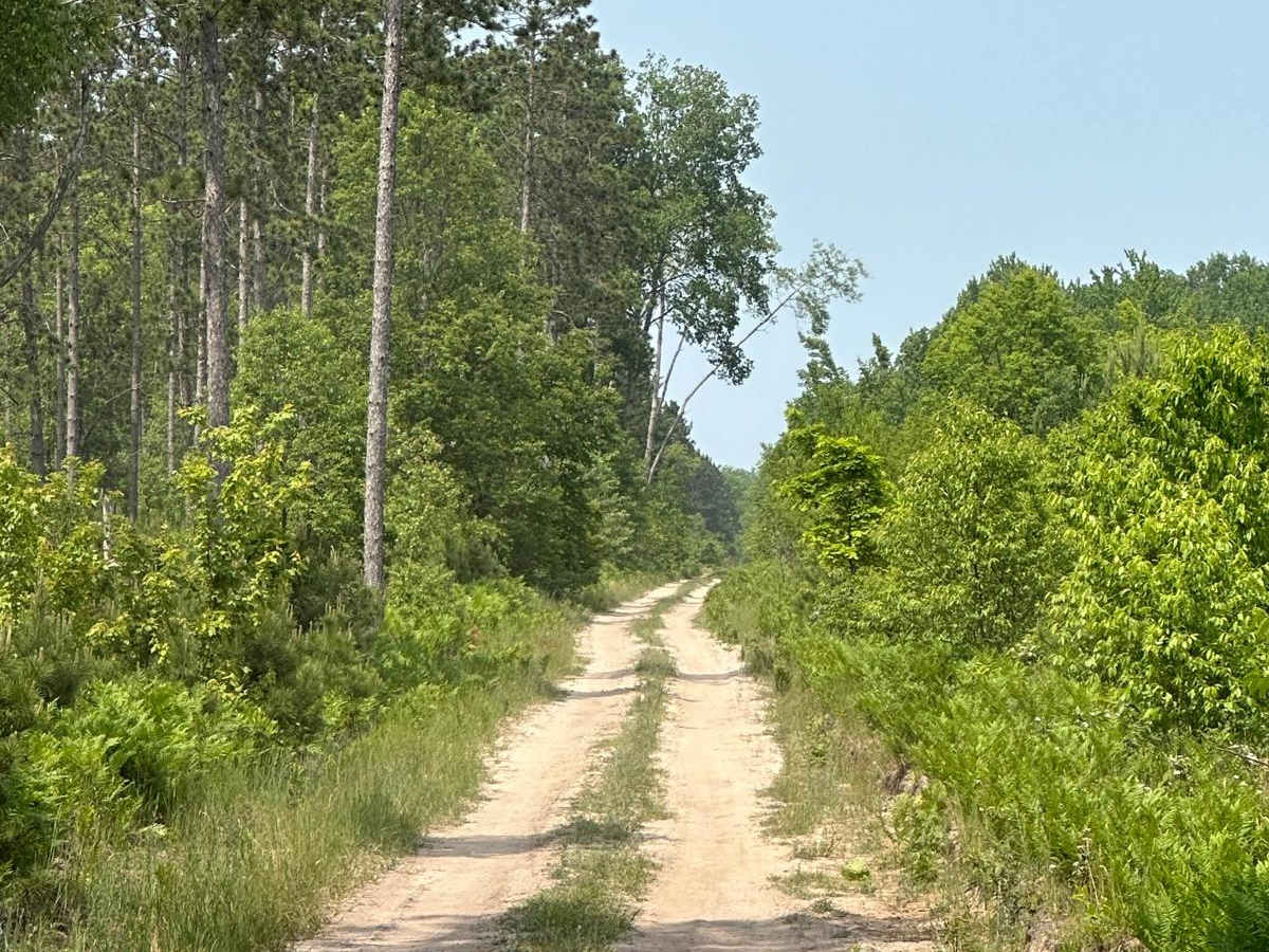 South Haze Road Part 1 photo 4