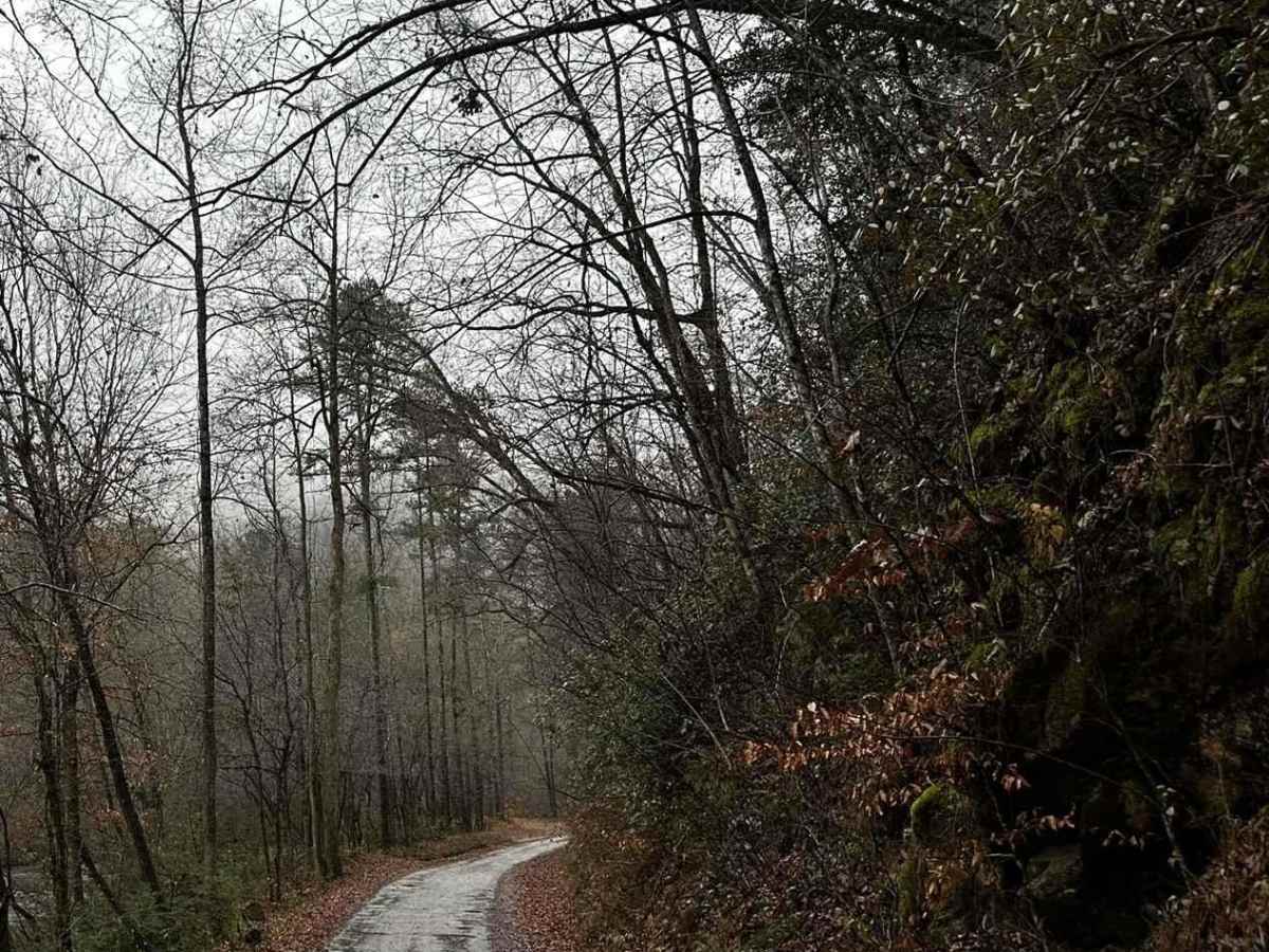 Honey Stand Road - FSR 184 photo 5
