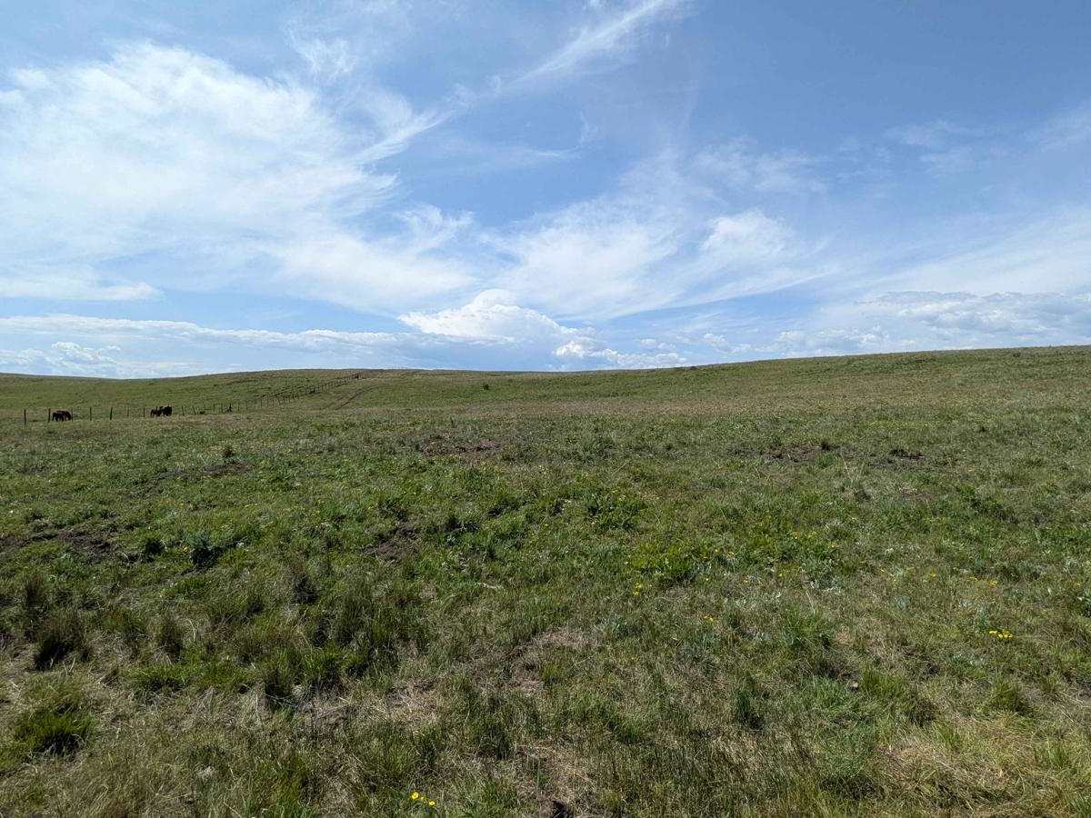 Duckett Road 716 photo 2