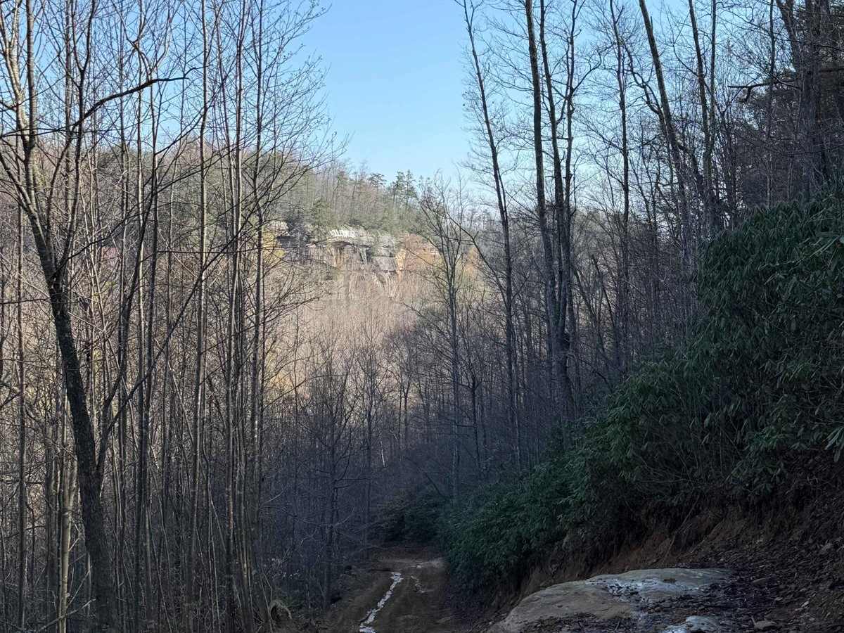 Trail 4 photo 5