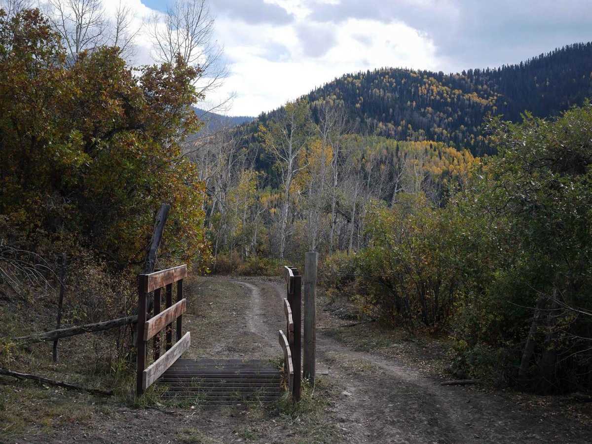 Spalding Park ATV photo 6