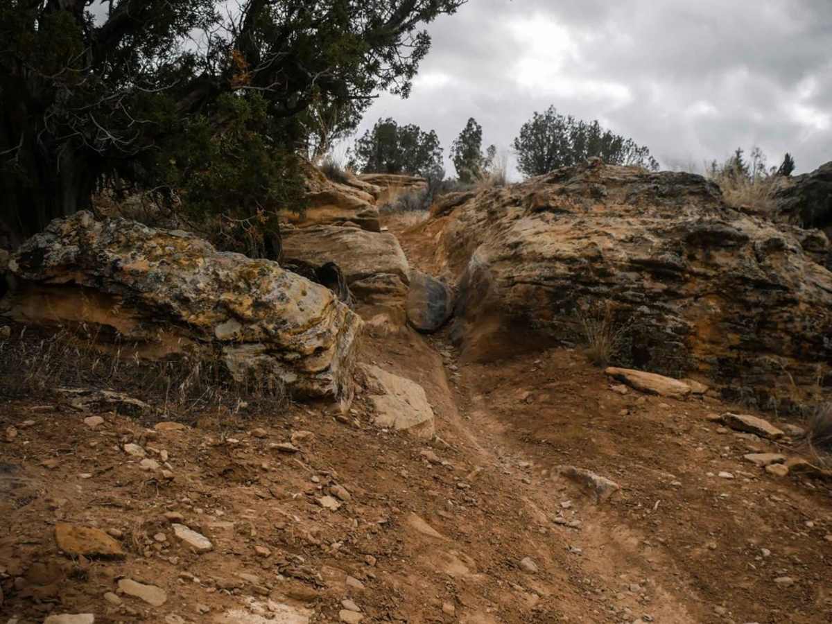 Zion Curtain Part 2 photo 2