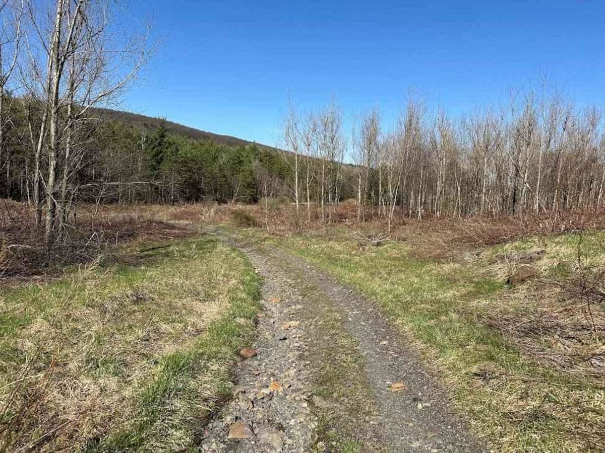 St. Keirns 22 trail photo