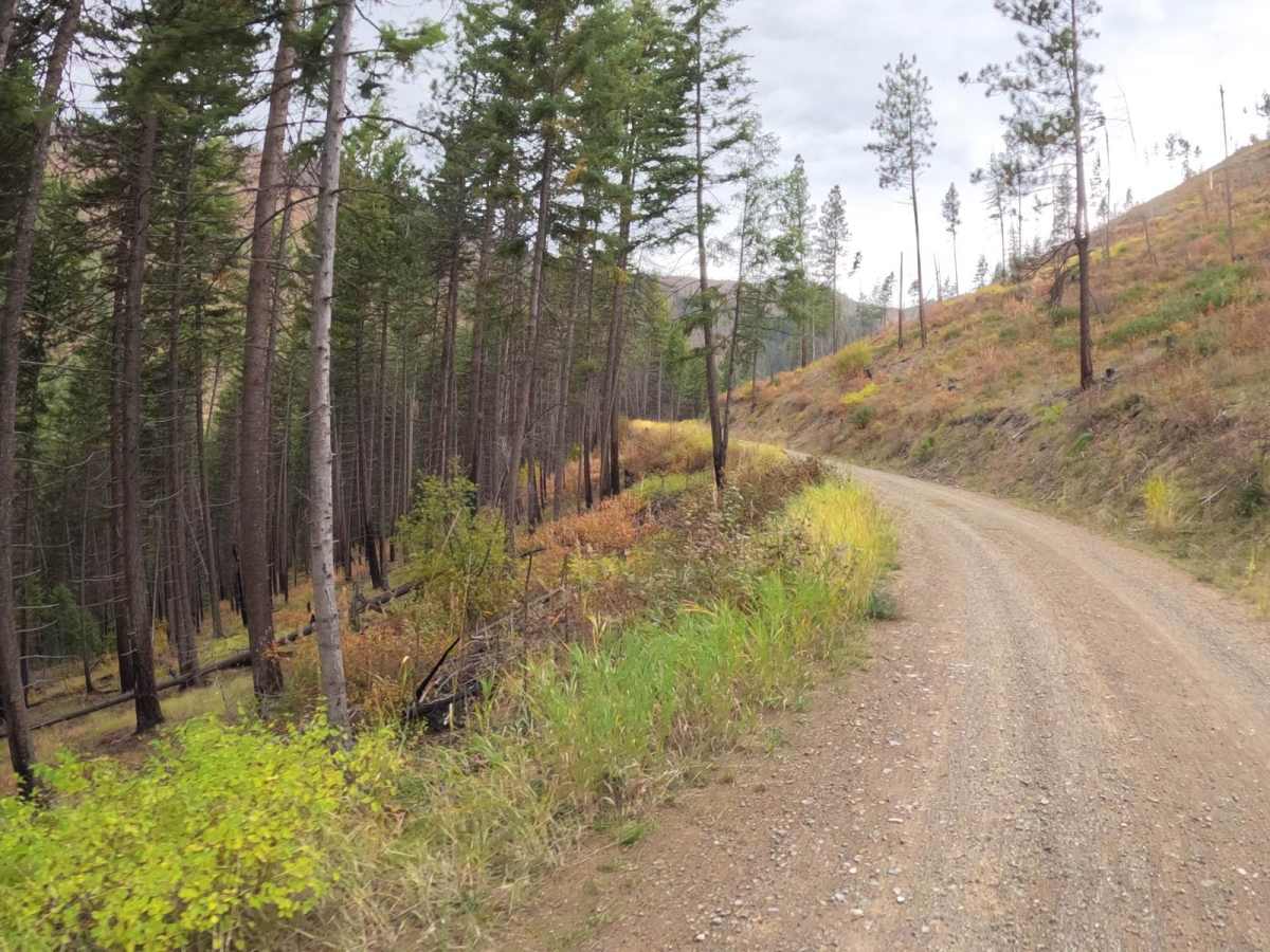 Saint Pats Road-Cyr Iron Mountain Road photo 5