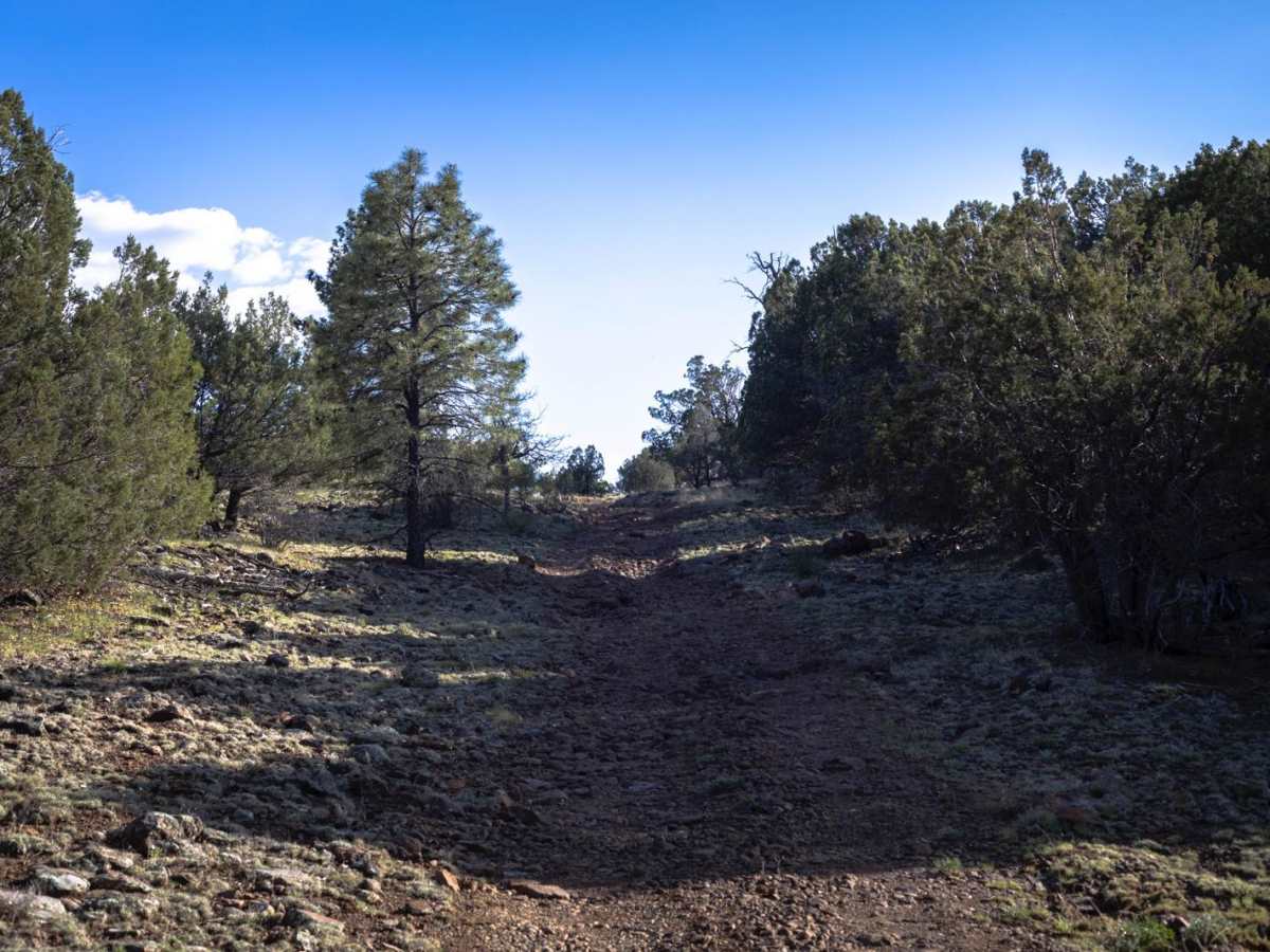 Bar 37 trail photo