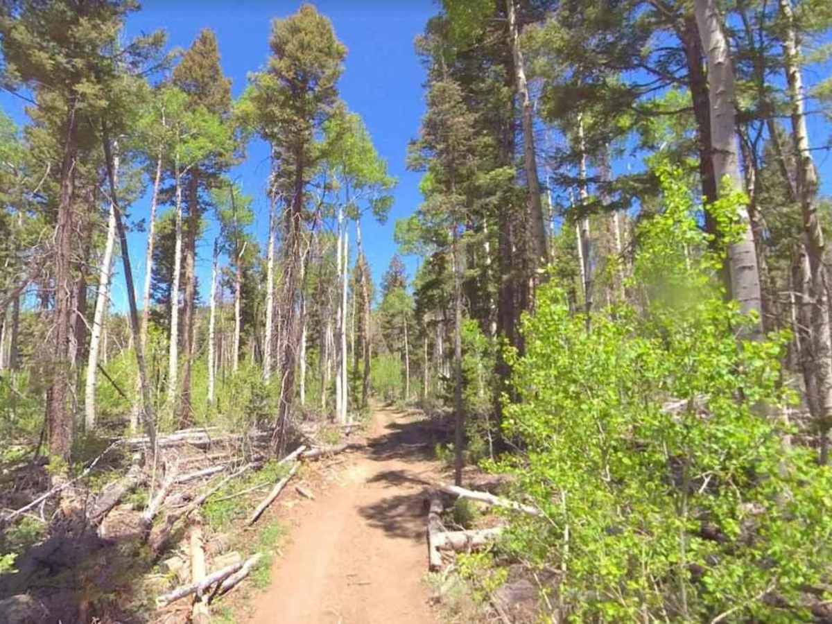 Boulder Swale ATV Trail-NFS34022 photo 4