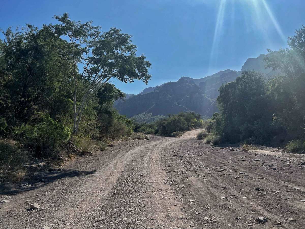 El Juncalito Escondido photo 4