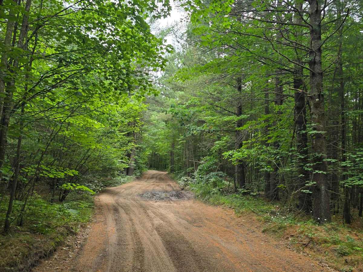 Piper Lake Rd photo 3