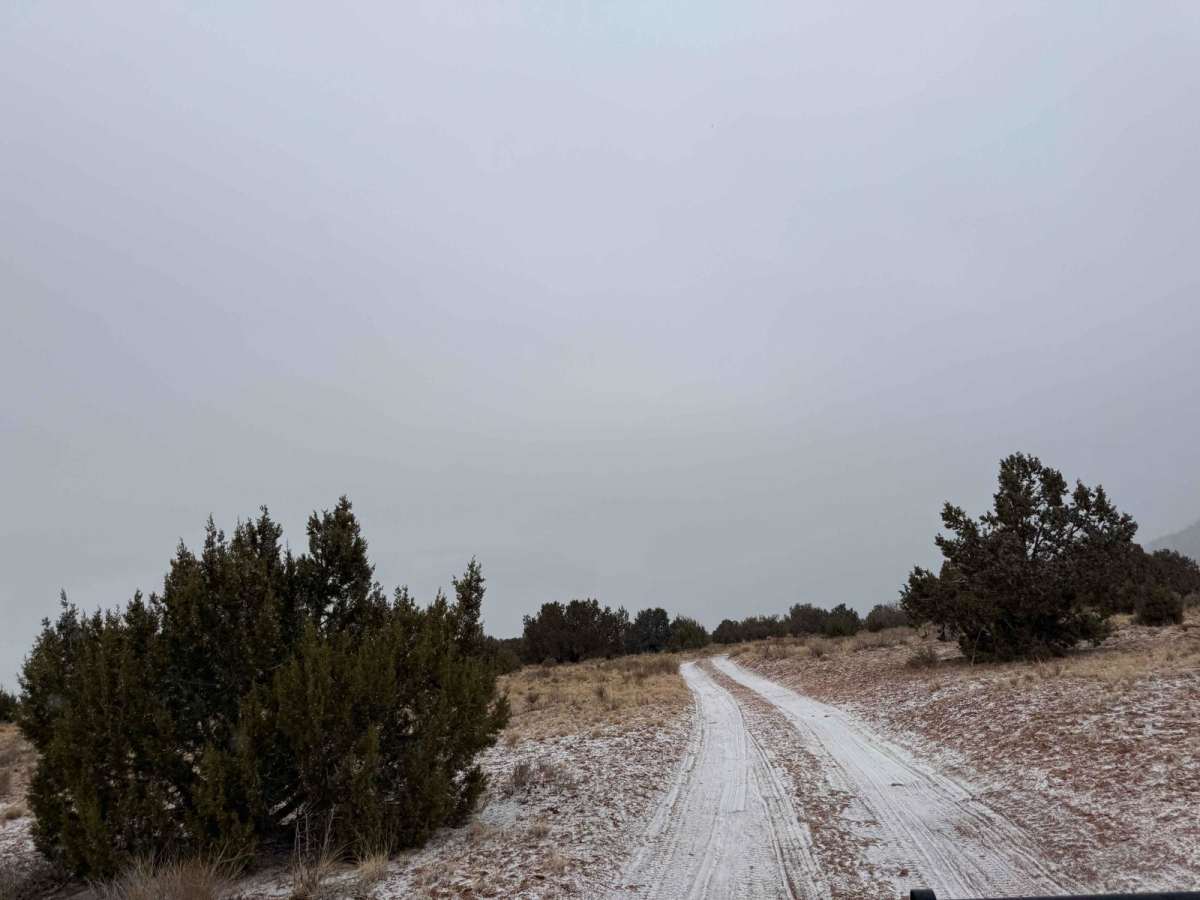 BLM M4187 photo 2