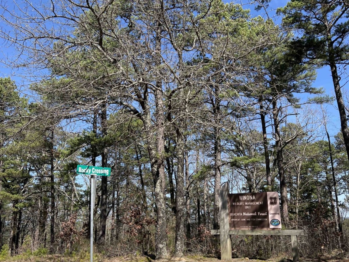 Cove Creek Lake/Link Mountain Road 210 photo 3