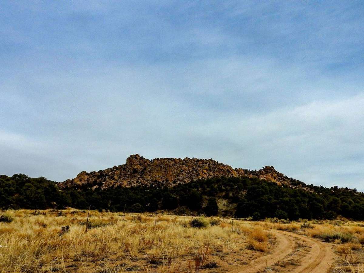 BLM 6051 photo 3