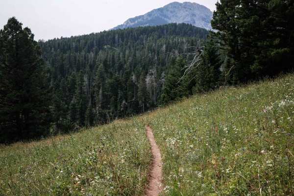 Upper Brackett Creek