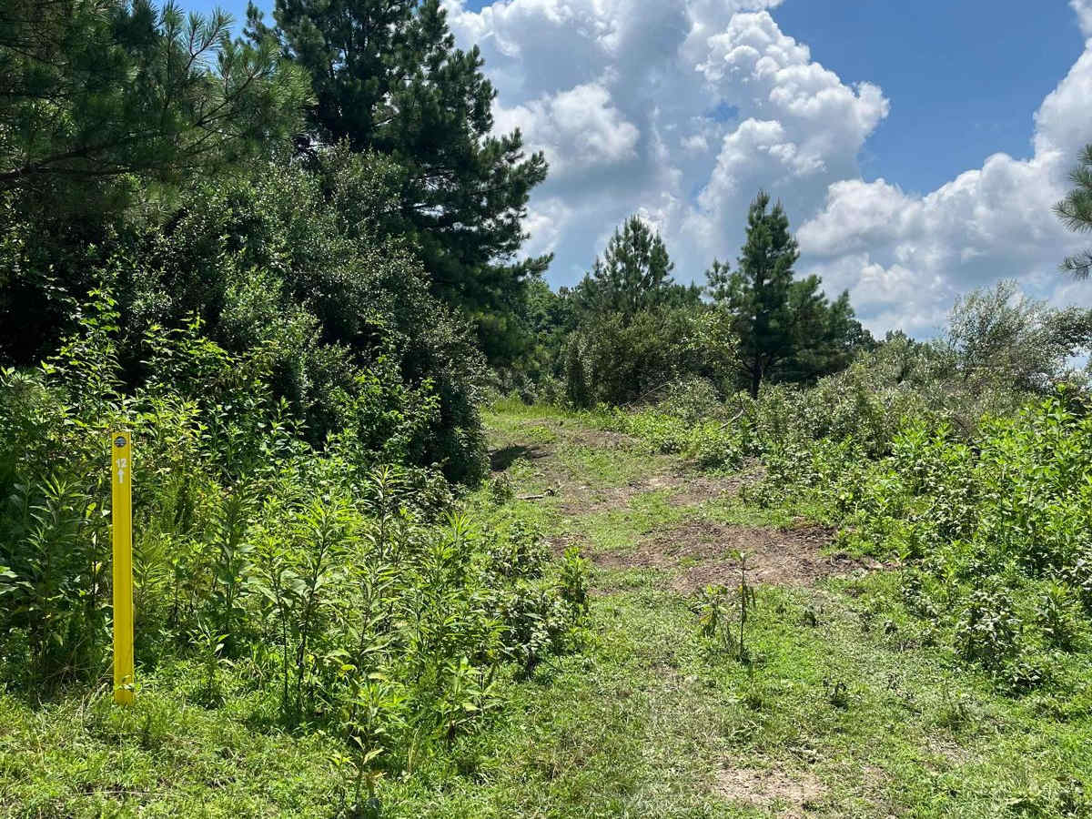 Trail 12 photo 6
