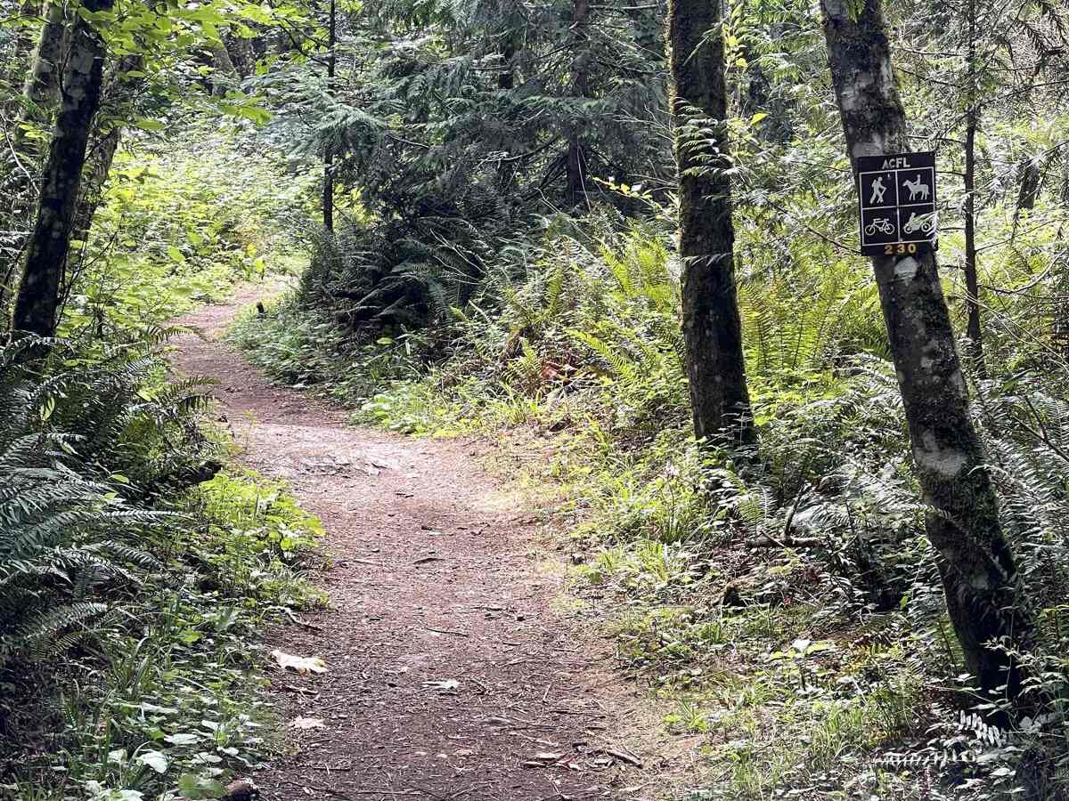 230 trail photo