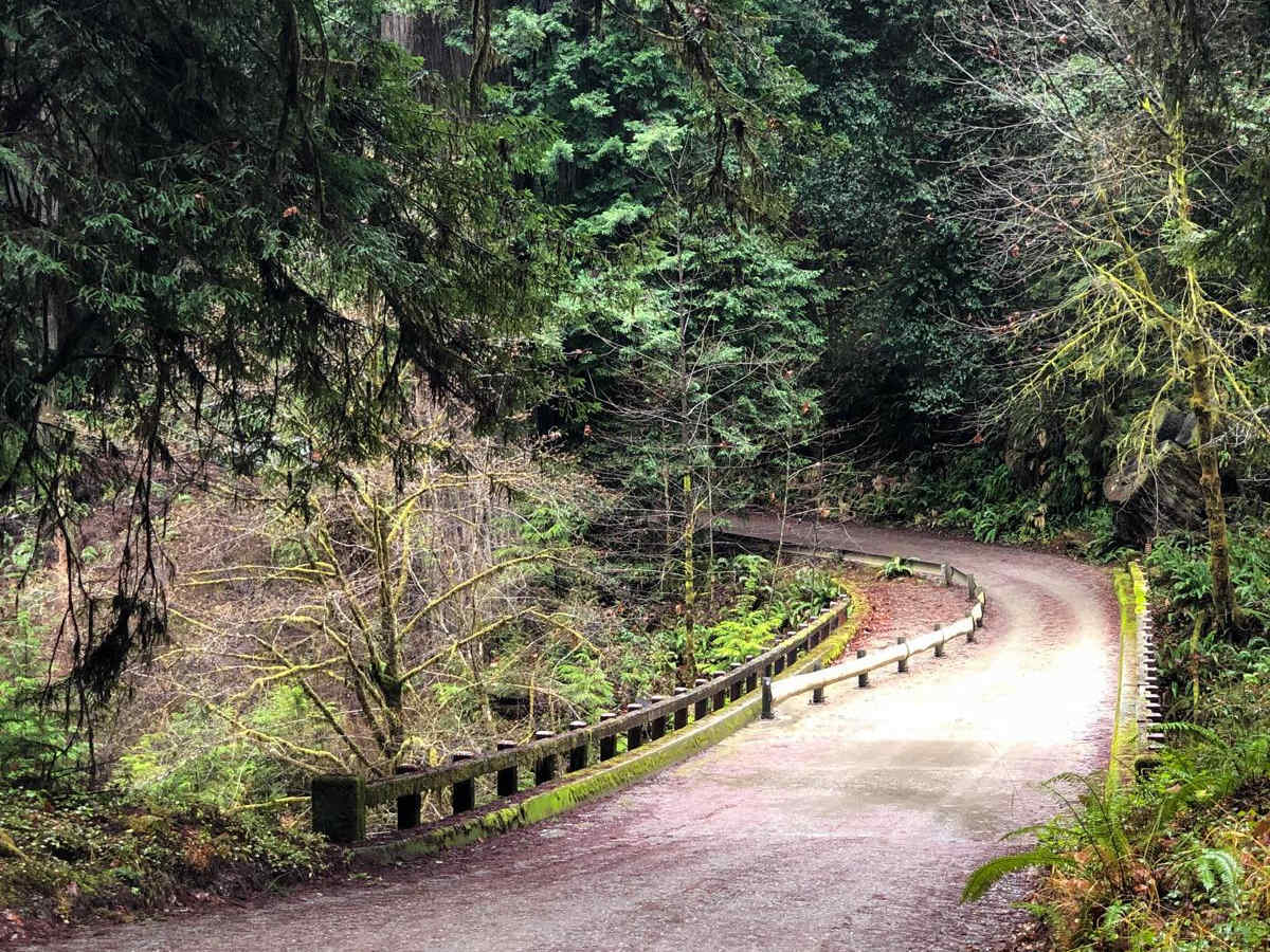 Howland Hill Road photo 4