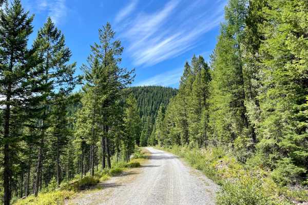 Truman Creek Road