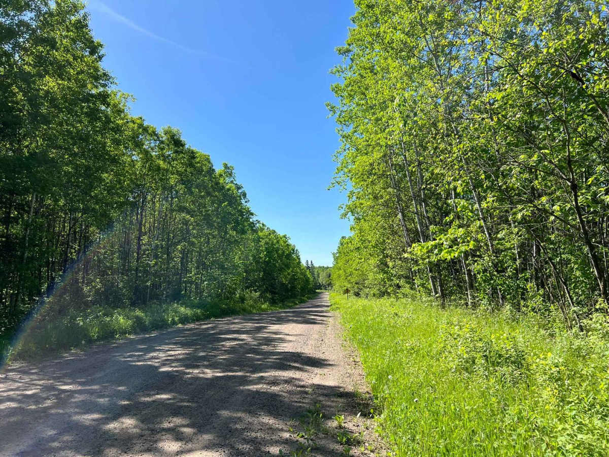 Double Bend FR 2166 photo 2