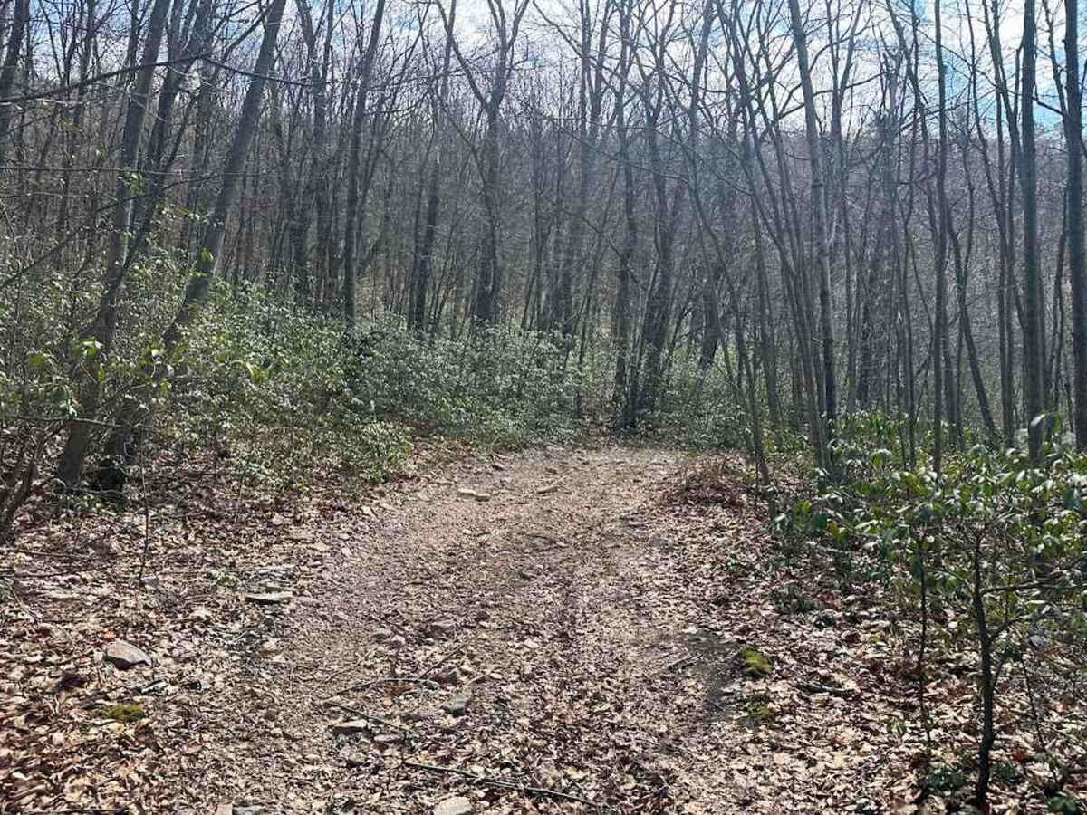 Ashland 126 photo 2