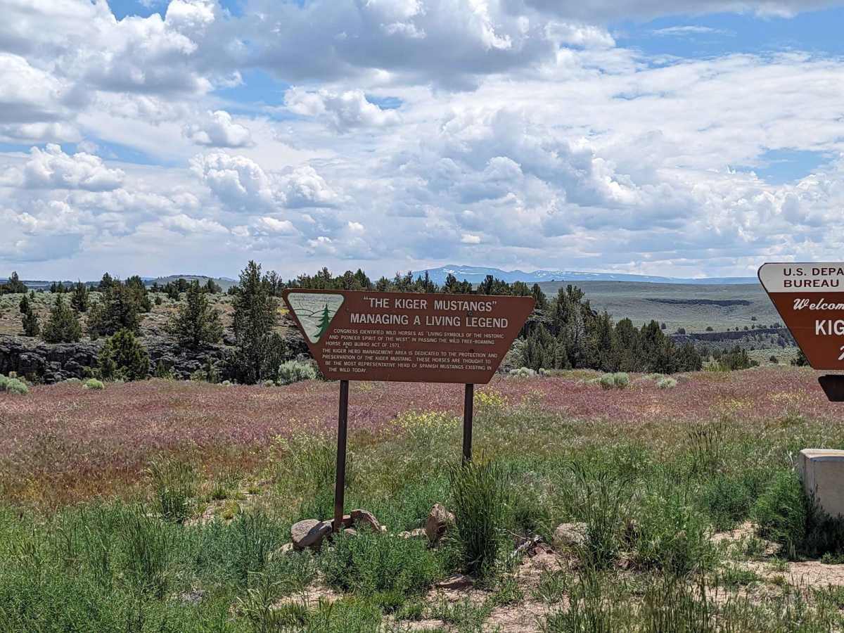 Kiger Mustang Viewing Area Road photo 4