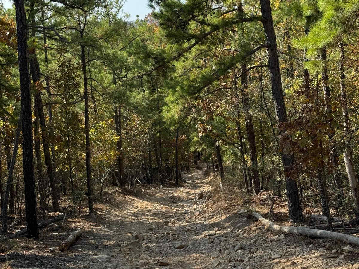 F41 Compass Canyon trail photo