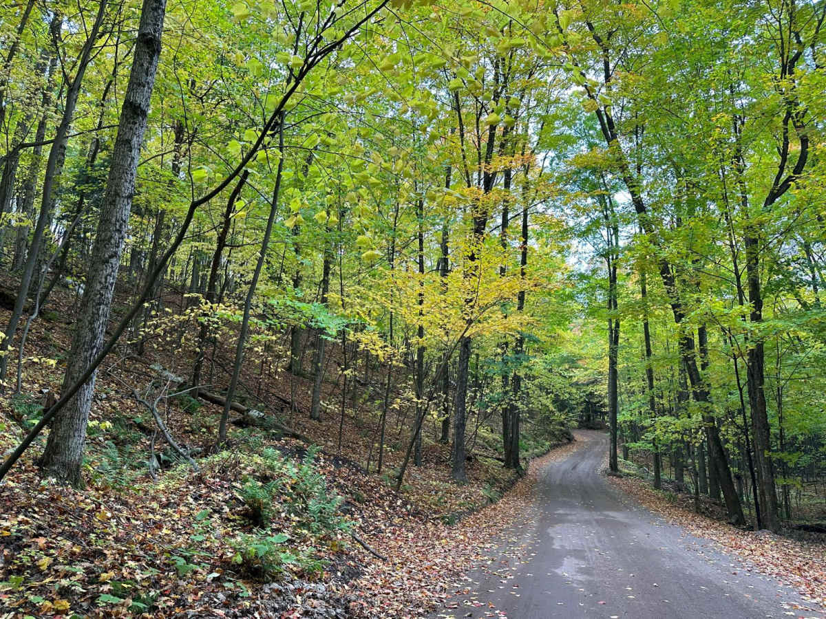 Mount Marquette Road photo 4
