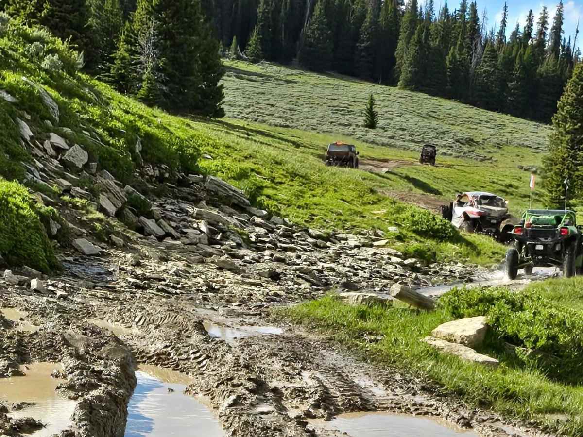 Fools Creek (FSR 178) - Ice Creek (FSR 142) trail photo