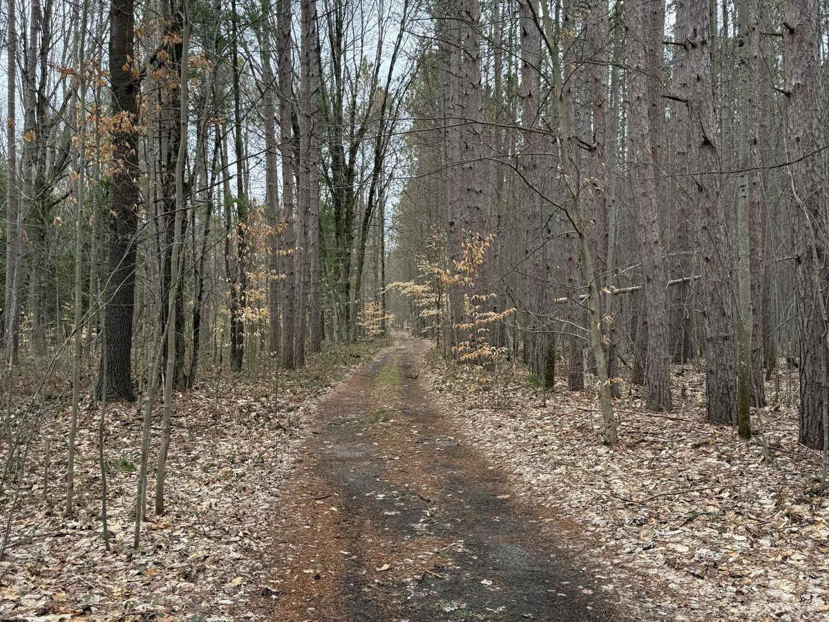 NFS 5367 photo 2
