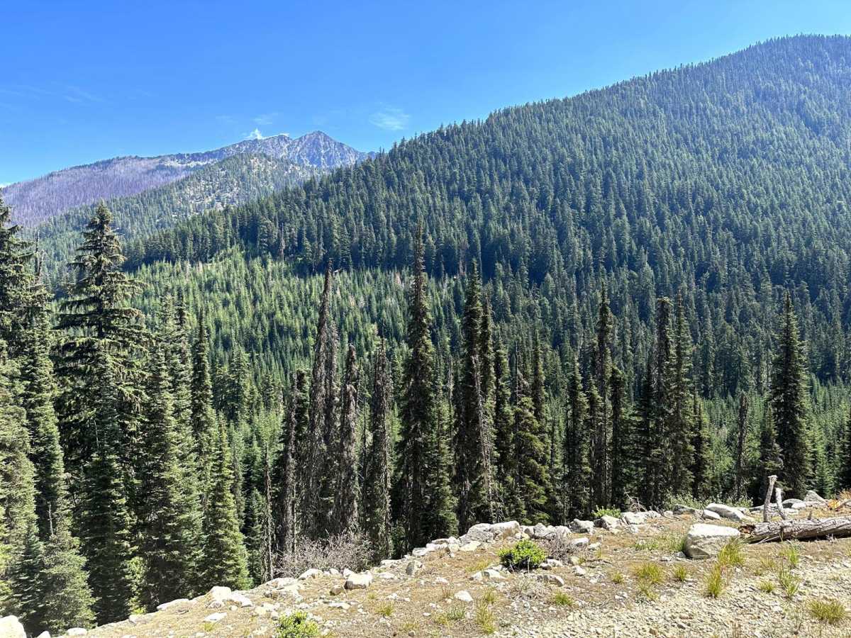 Snowy Creek Trailhead trail photo