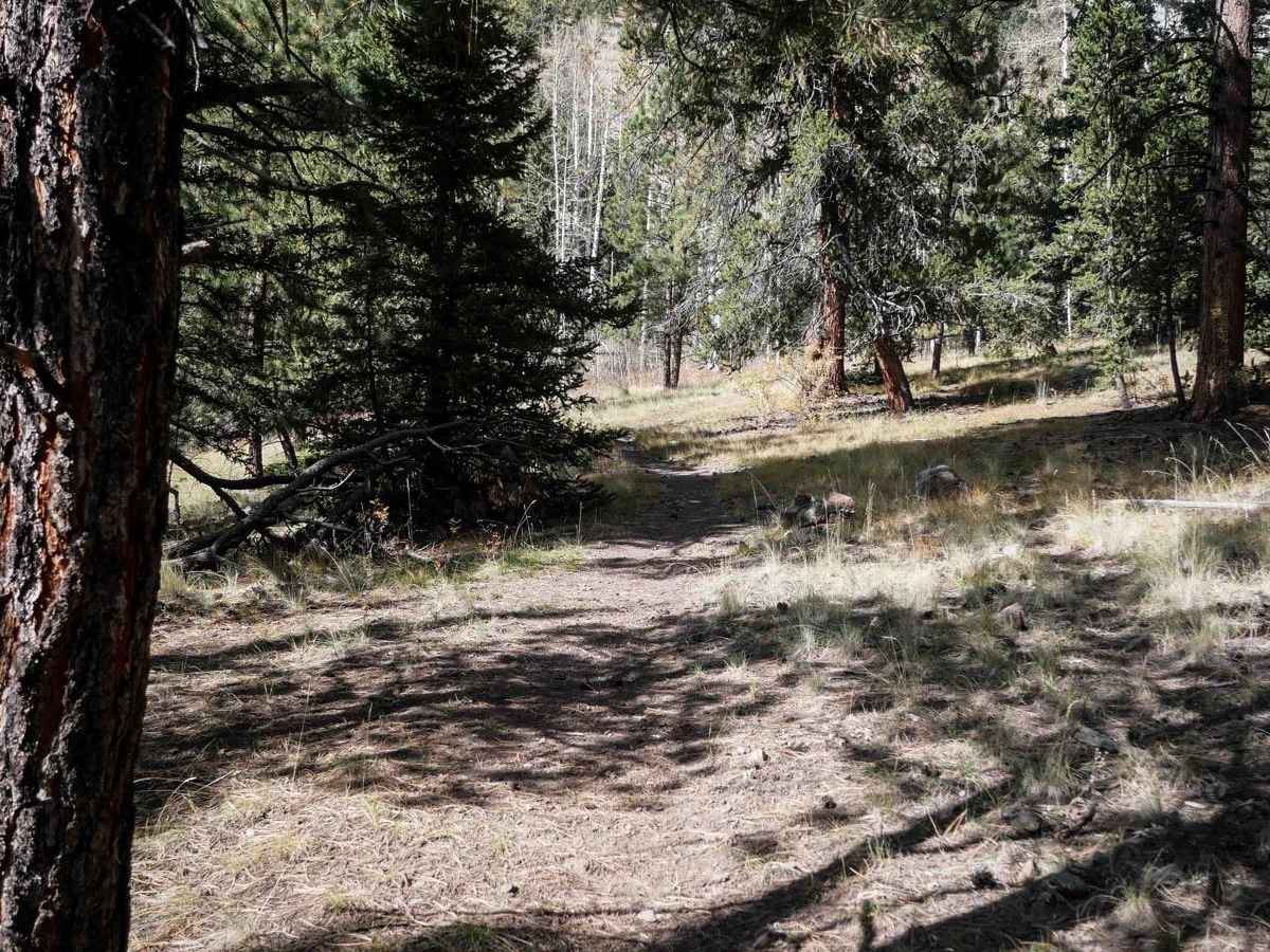 La Garita Creek Cutoff Single Track photo 5