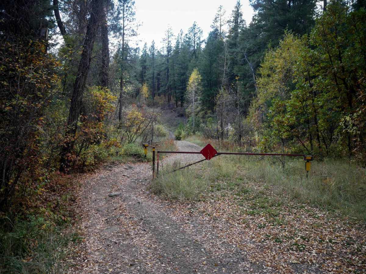 Snow Ranch C photo 5