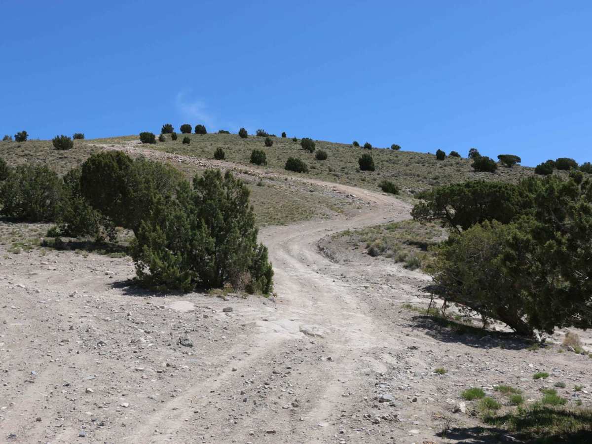 Wanlass Hill Access trail photo