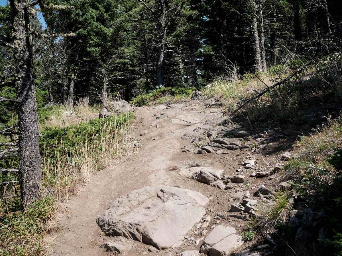 Bangtail Divide Trail #504 photo 4