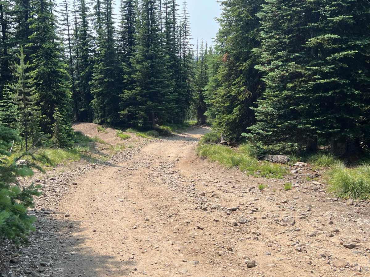 Cottontail Point Road photo 4