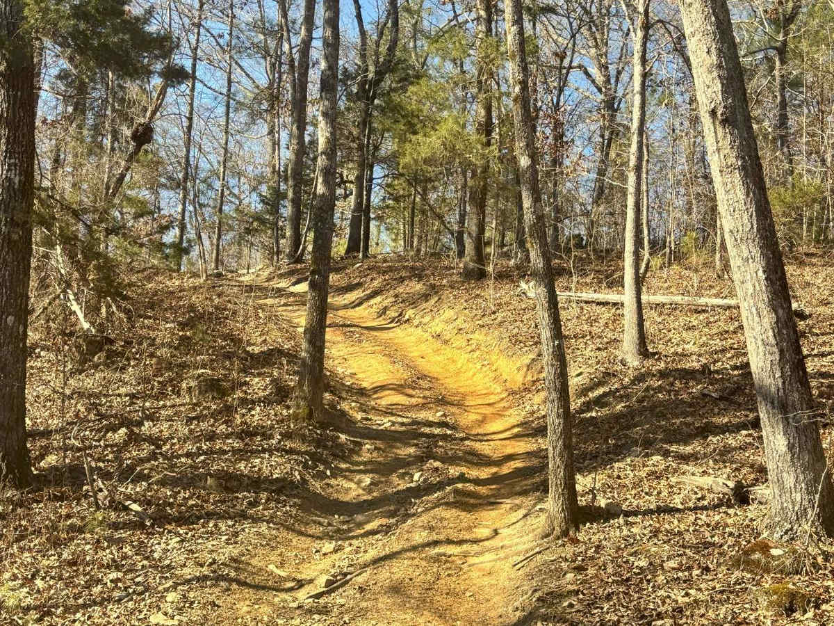 56 photo 4