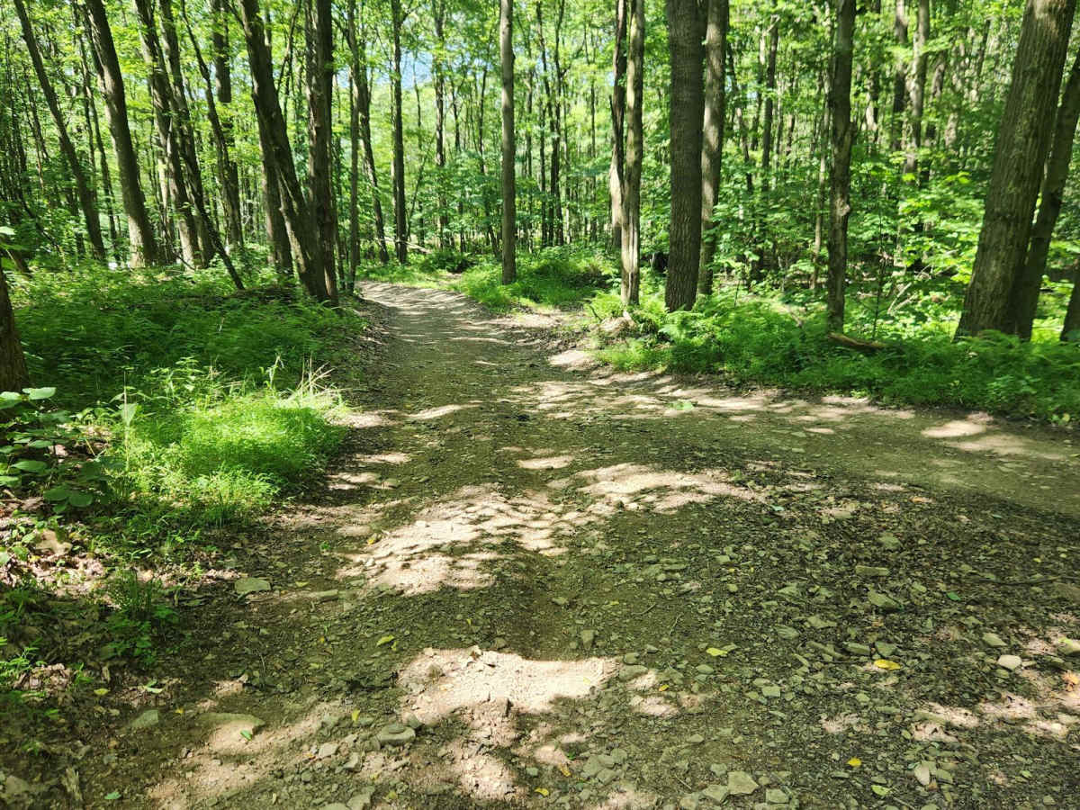 WR Road - Rock Run Recreation Area photo 3