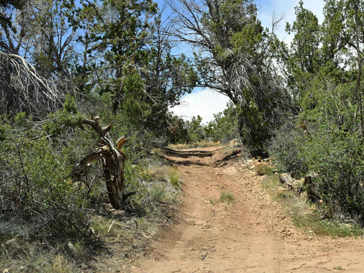 FR50084/Recapture Road photo 6