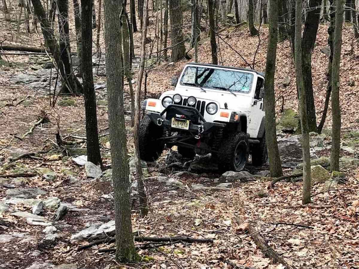 102B Blue trail photo