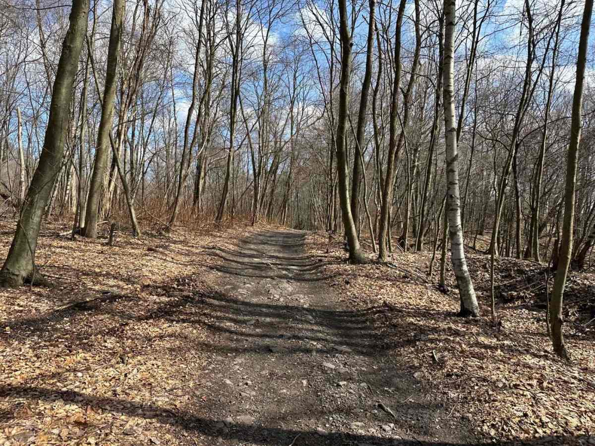 Ashland 59 trail photo