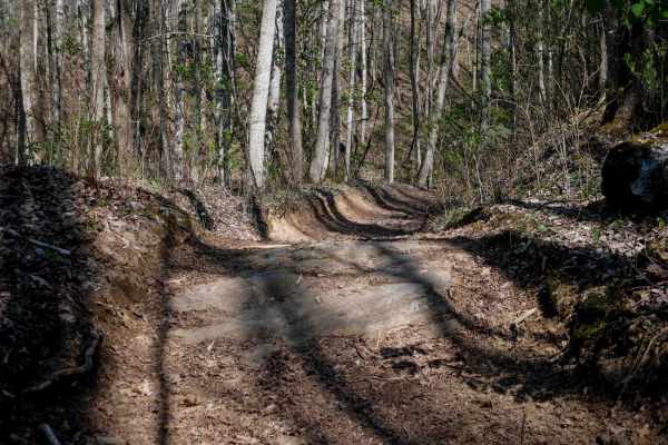 Sawmill Bottoms Trail 8