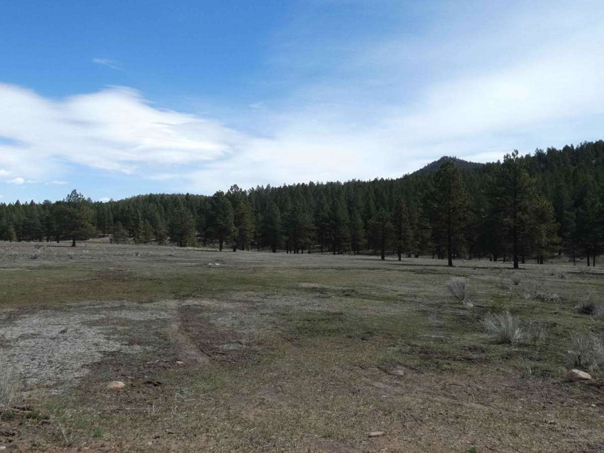 Kiowa Mountain trail photo