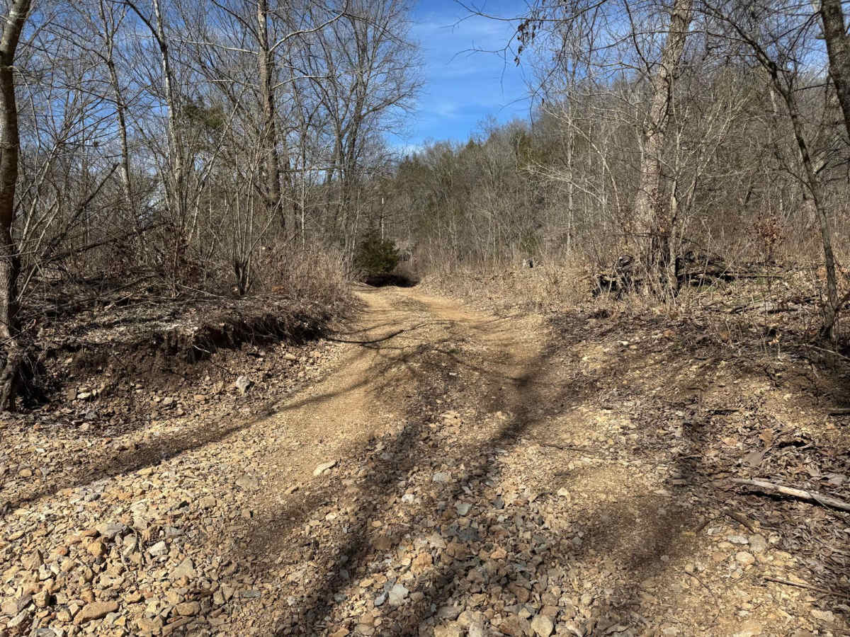 Green 384 trail photo